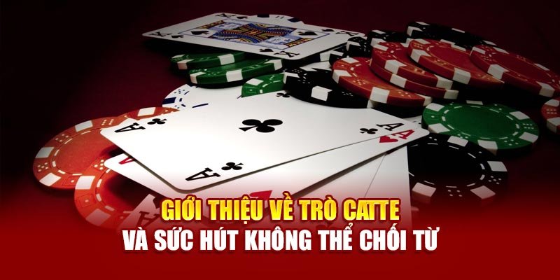 Giới thiệu về trò catte và sức hút không thể chối từ