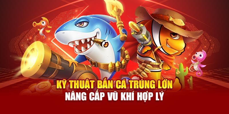 Kỹ thuật bắn cá trúng lớn nâng cấp vũ khí hợp lý